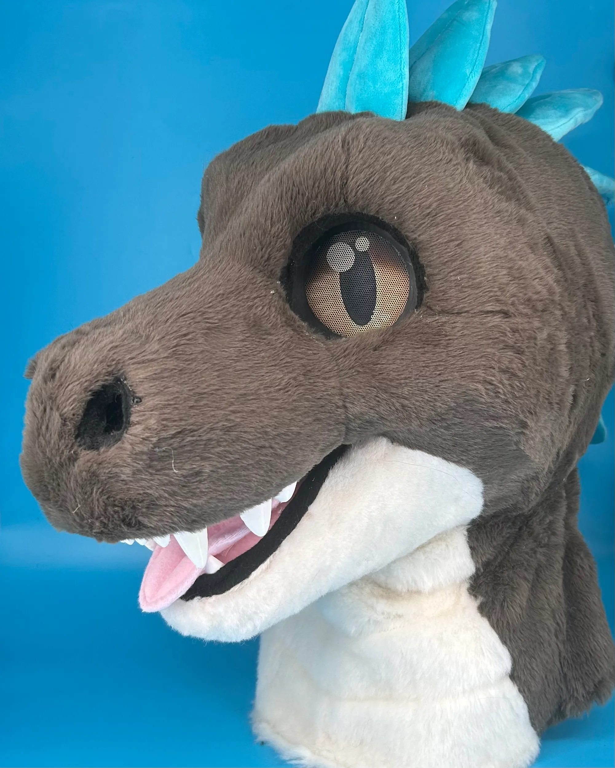 CCS Mascots fursuit 10