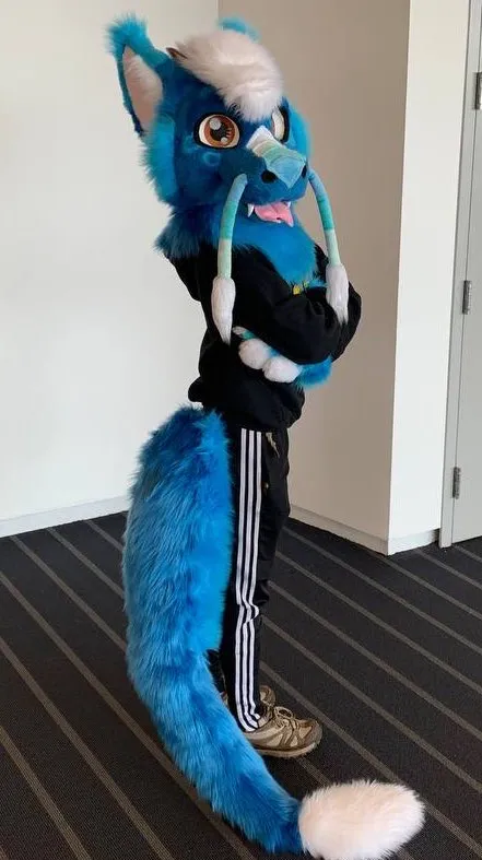 CCS Mascots fursuit 25