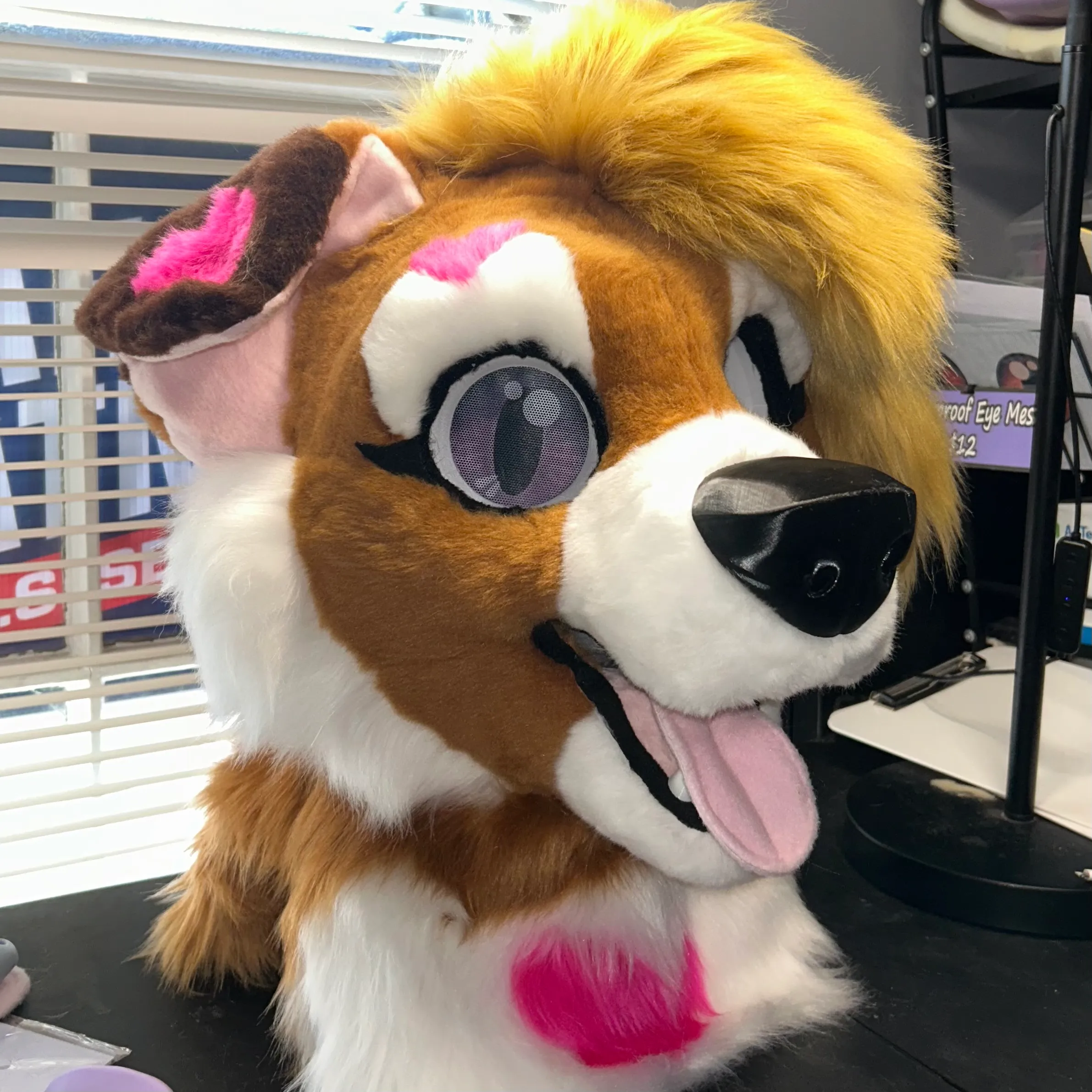 CCS Mascots fursuit 16