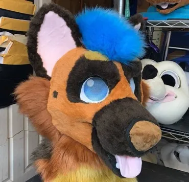 CCS Mascots fursuit 36