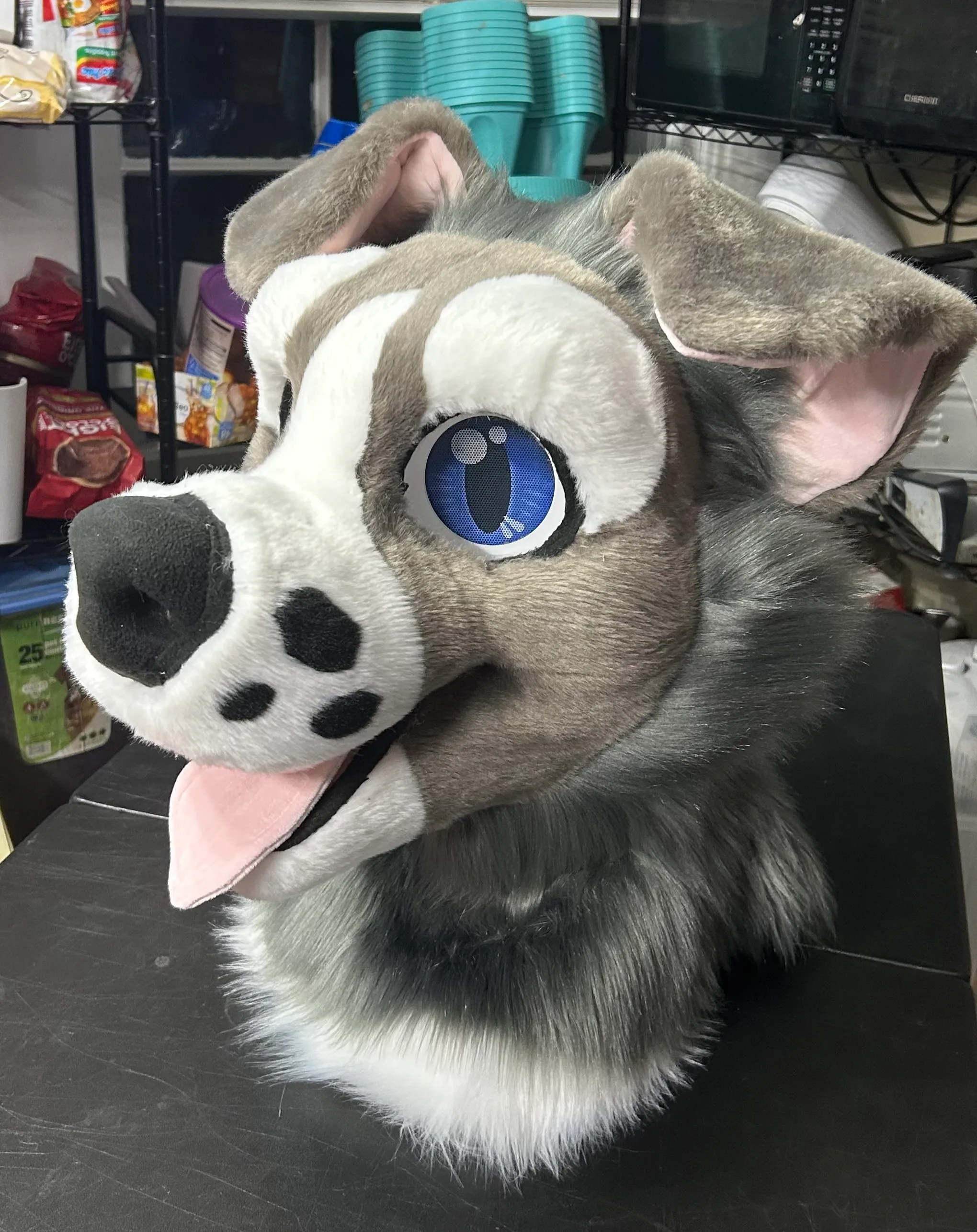 CCS Mascots fursuit 14