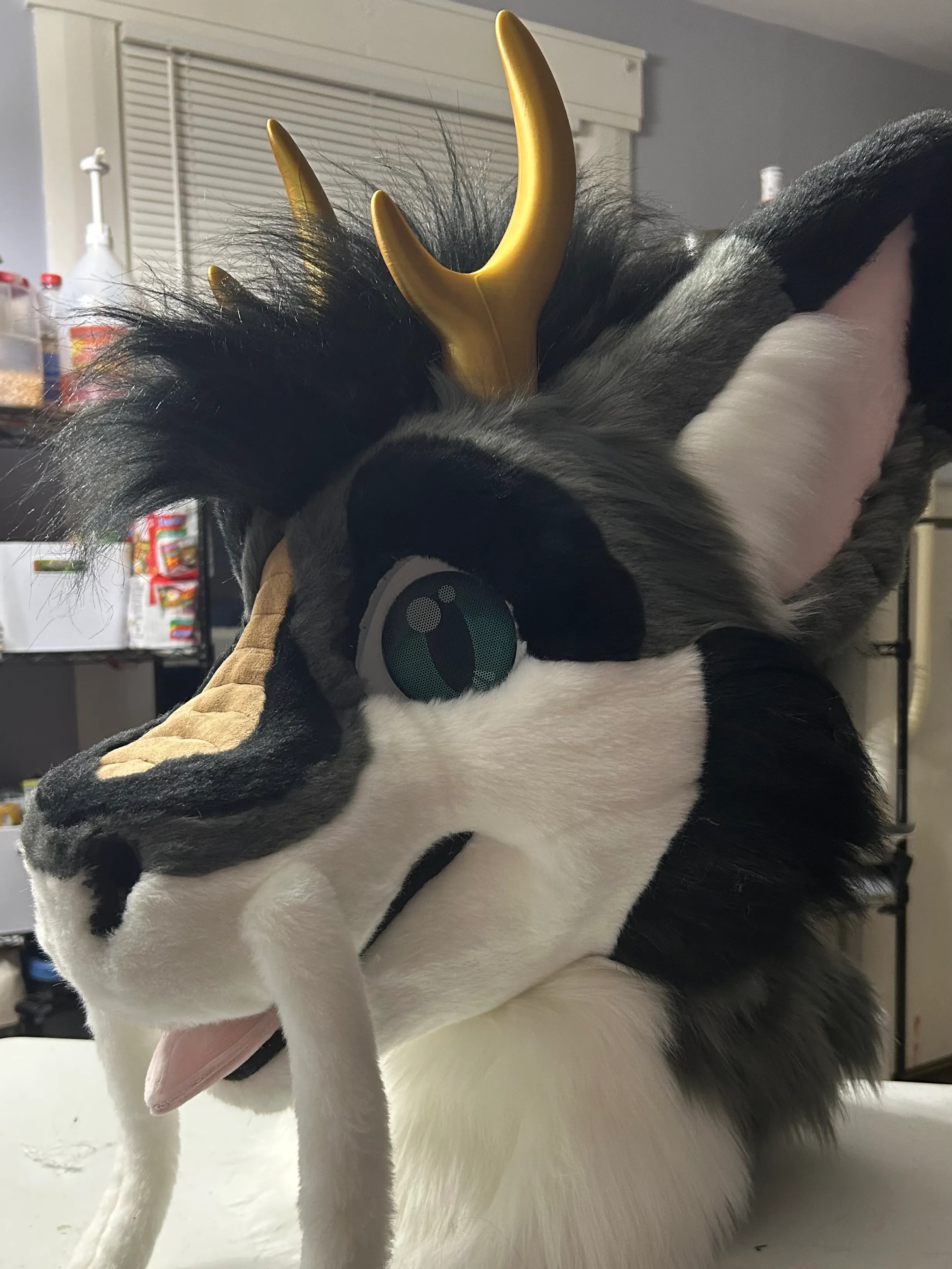 CCS Mascots fursuit 17