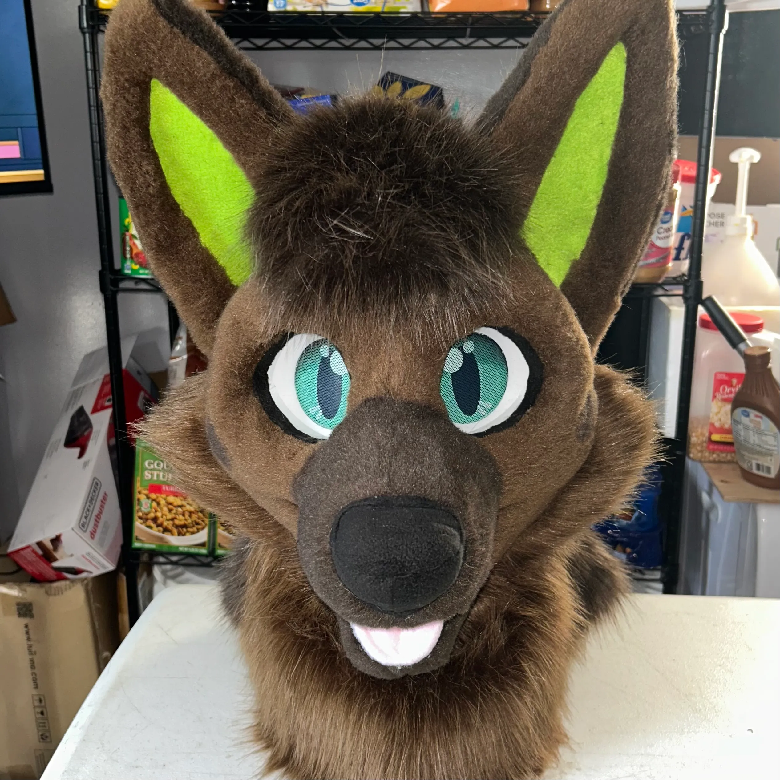 CCS Mascots fursuit 15