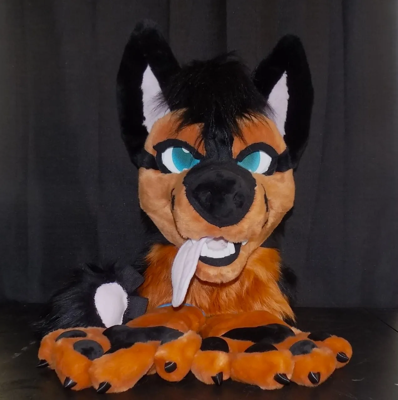 CCS Mascots fursuit 24