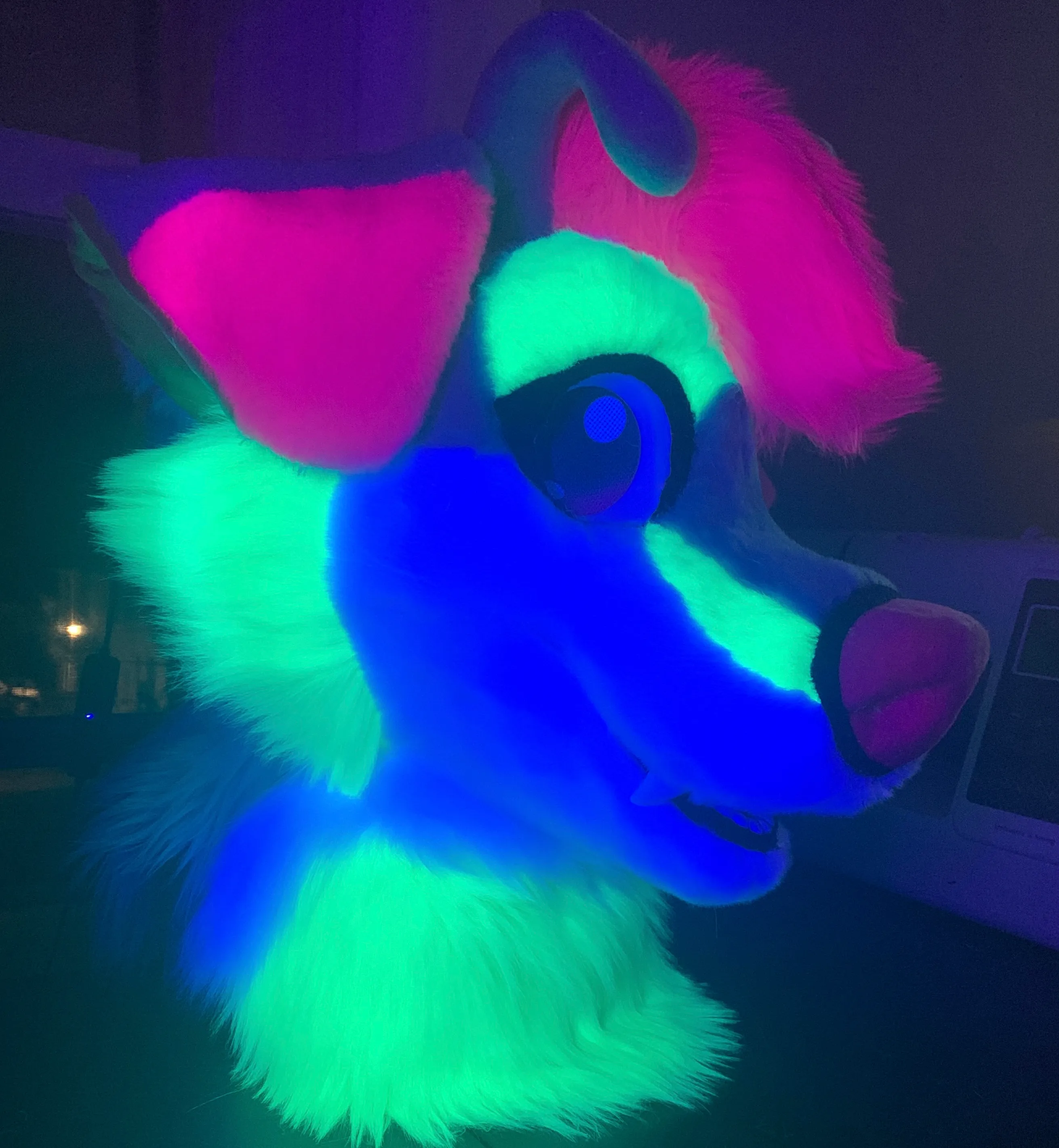 CCS Mascots fursuit 34
