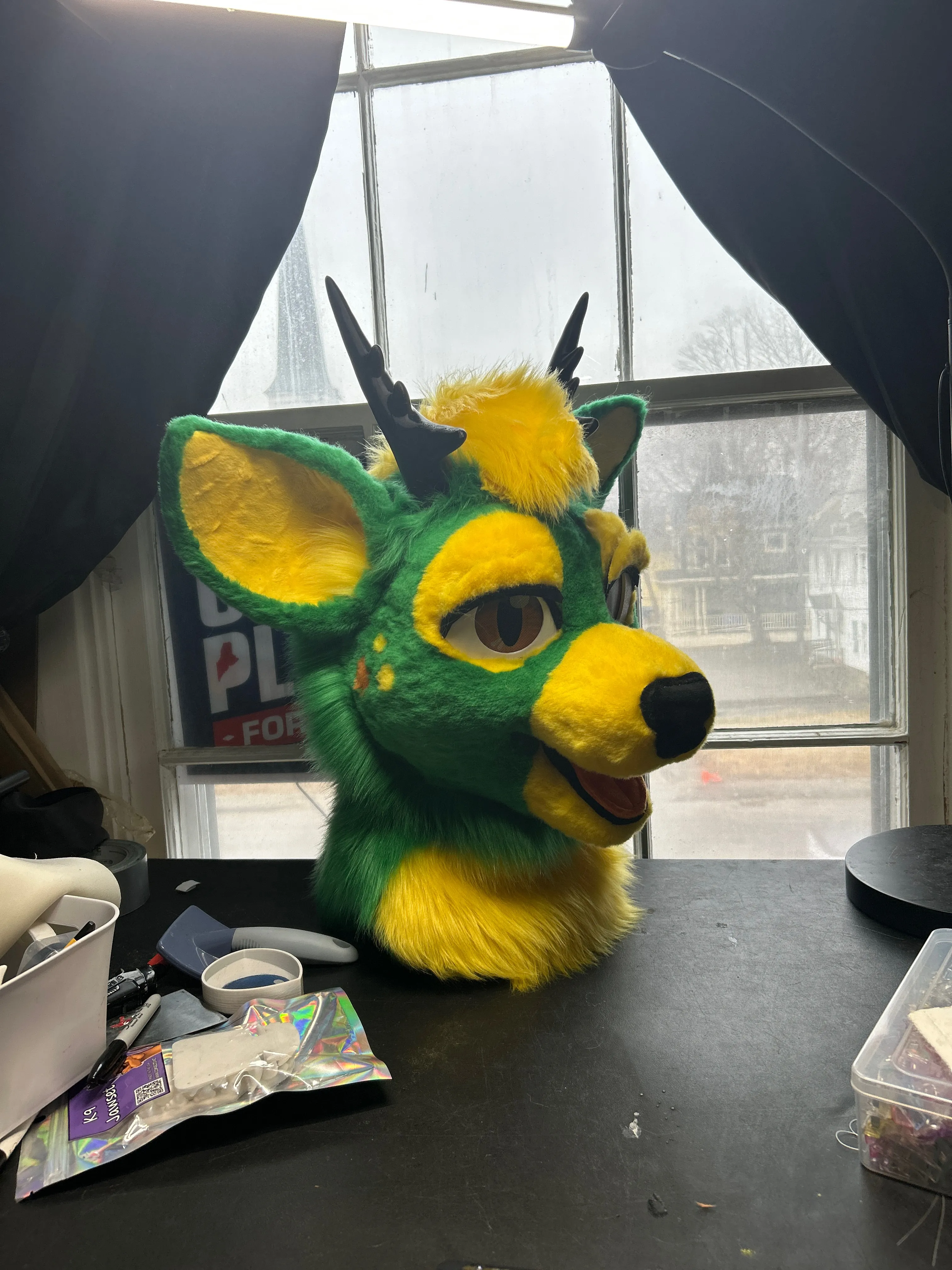 CCS Mascots fursuit 7