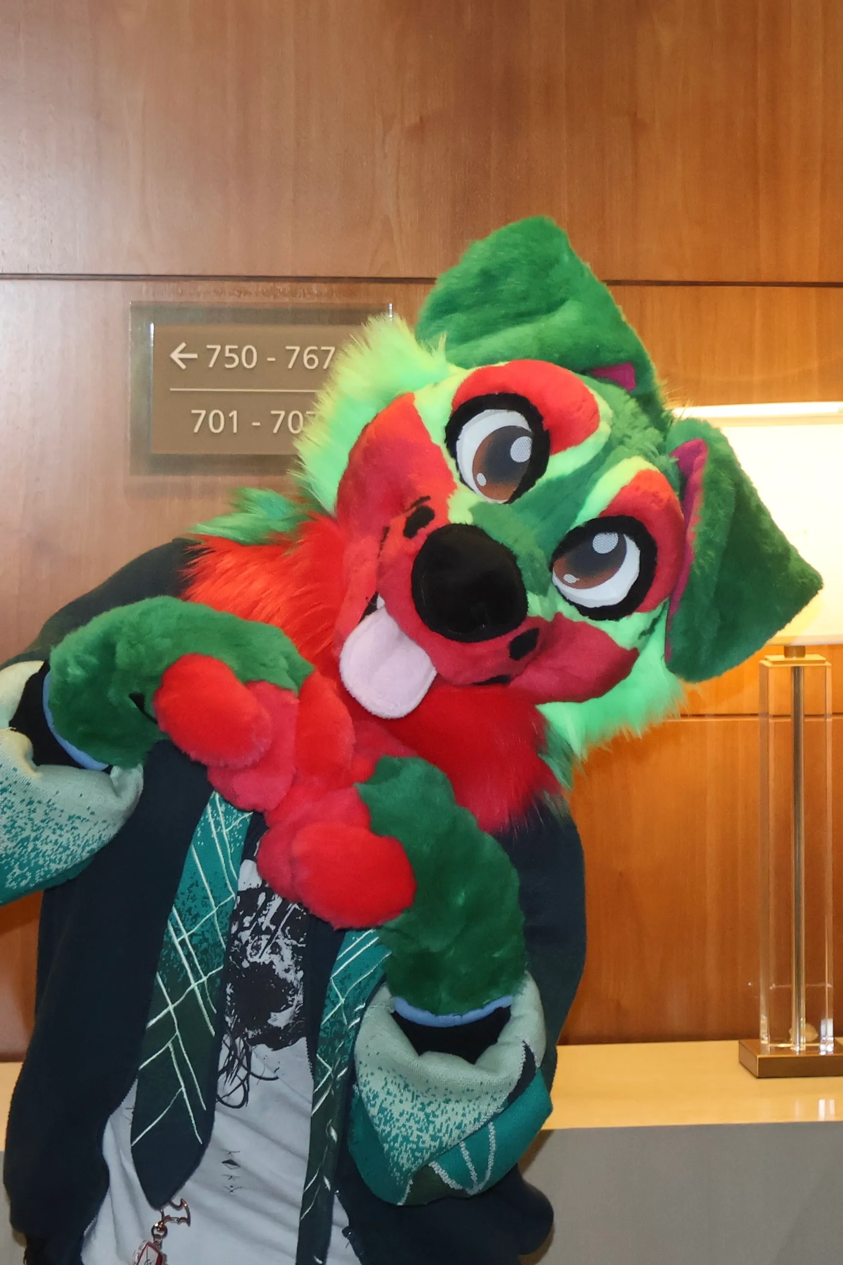 CCS Mascots fursuit 23