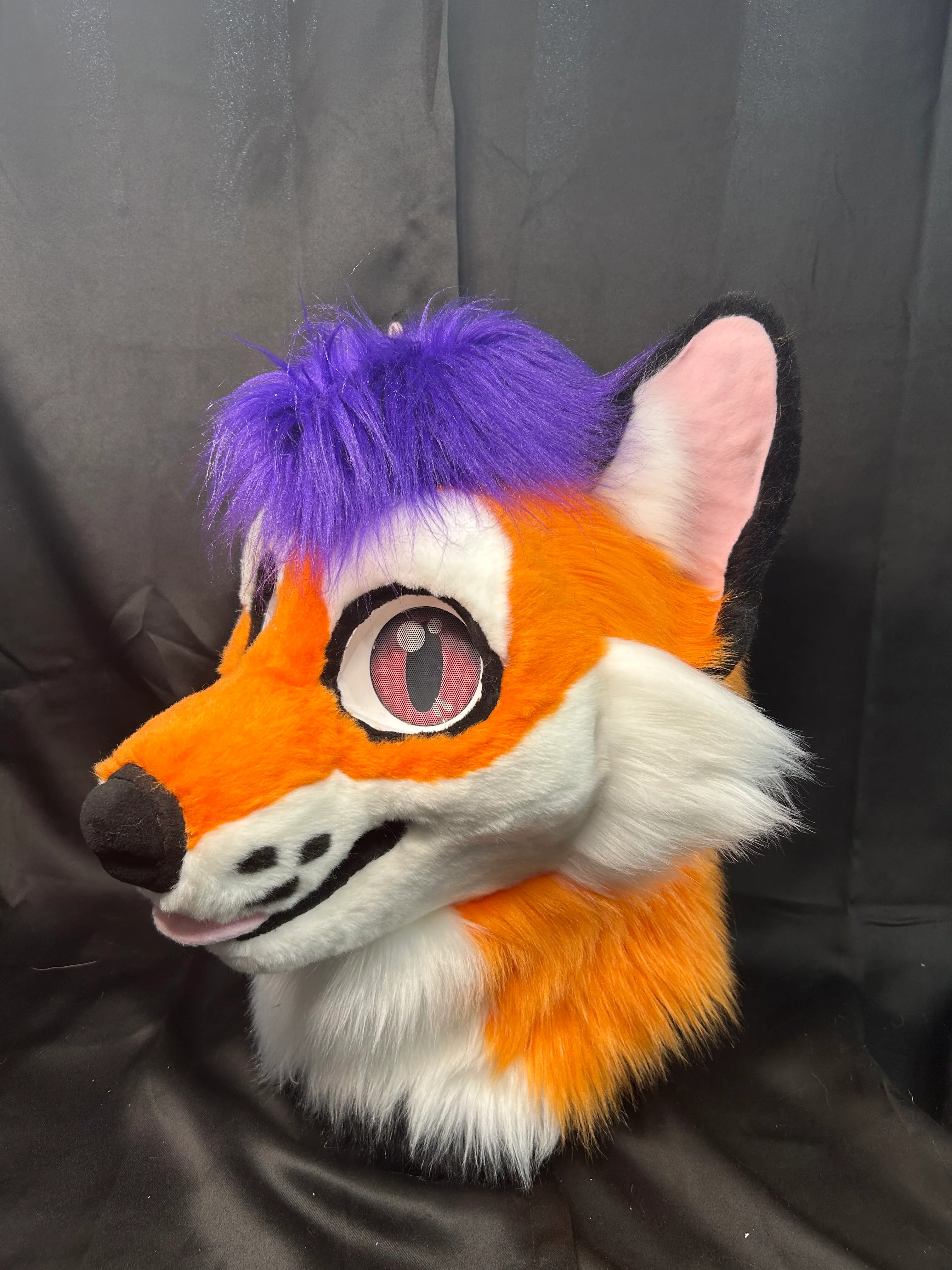 CCS Mascots fursuit 2