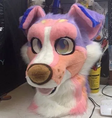 CCS Mascots fursuit 30