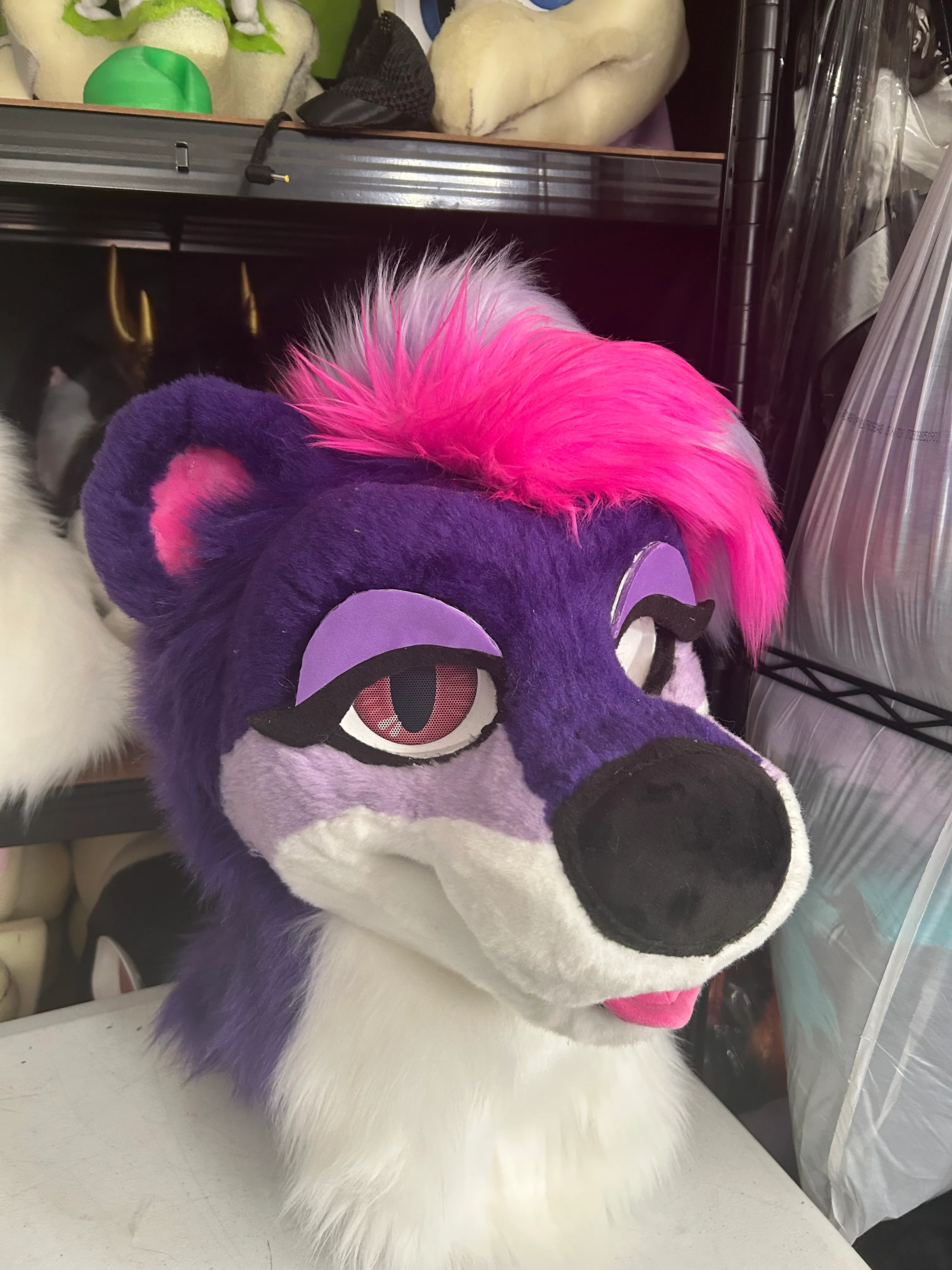 CCS Mascots fursuit 19